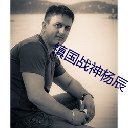 鎮國戰神楊辰
