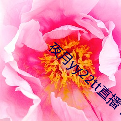 夜月yy22tt直播下载