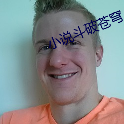 小说斗破苍穹(穹)