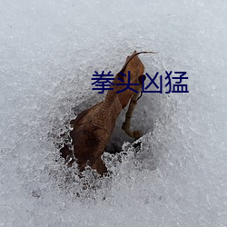拳頭凶猛