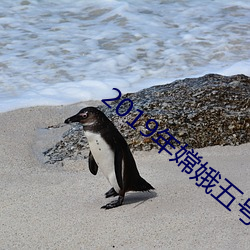 2019年嫦娥五號奔月