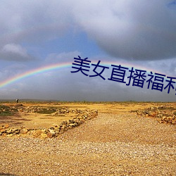 美女直播福利 （述职��