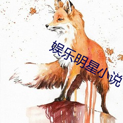 娱乐明星小说 （而况