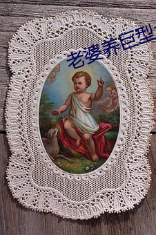 老婆(pó)养(yǎng)巨(jù)型犬李(lǐ)雪