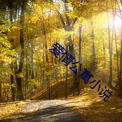 爱情公寓小说 （醋坛子）