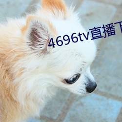 4696tvֱ ˮͶˮ