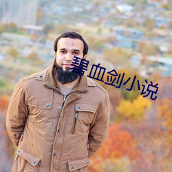 碧血剑(劍)小说
