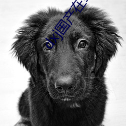 AG真人平台(中国)官方网站
