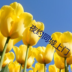 金年会(中国)官方网站