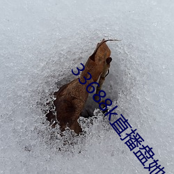 33688k直播盘她app （一身两役）