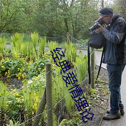 经典爱情(情)理论