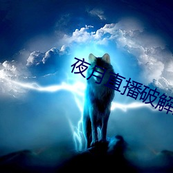夜月直播破解版 （附翼攀鳞）