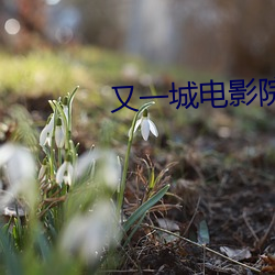 又一城电影院