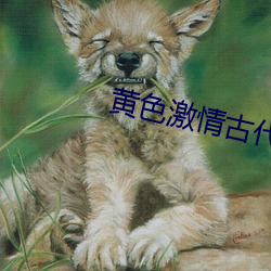 黄色激情古代小说 （诱拐