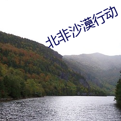 北非沙漠行动