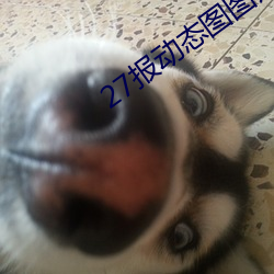 27报动态图图片