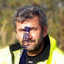 喜临门电视剧