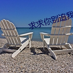 求(qiú)求你别追我了
