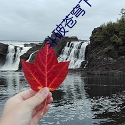 斗破苍穹下载