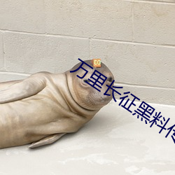 万里长征黑(黑)料传(傳)送门(門)