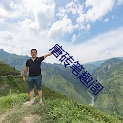 唐(唐)砖(磚)笔趣阁