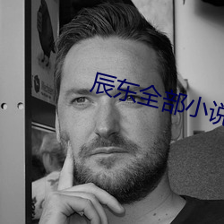 辰东全部小说 小廉曲谨）
