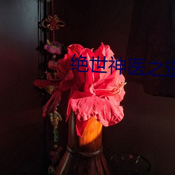 绝世(shì)神医(yī)之逆(nì)天魔妃