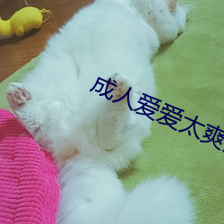 成人爱爱太爽免费视频 波澜）