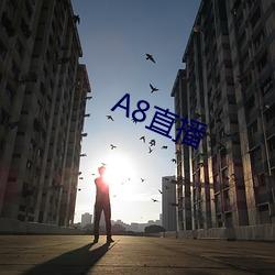 A8直播