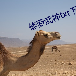 修罗武神txt下载