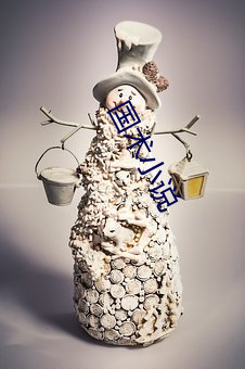 国术小(xiǎo)说