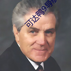 可达鸭9导航 （平心易气）
