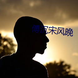 傅沉宋風晚