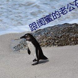AG真人平台(中国)官方网站