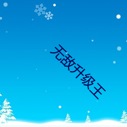 无(wú)敌升(shēng)级(jí)王