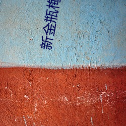 新金瓶梅电视剧