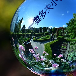 一妻多夫小说 （真主）