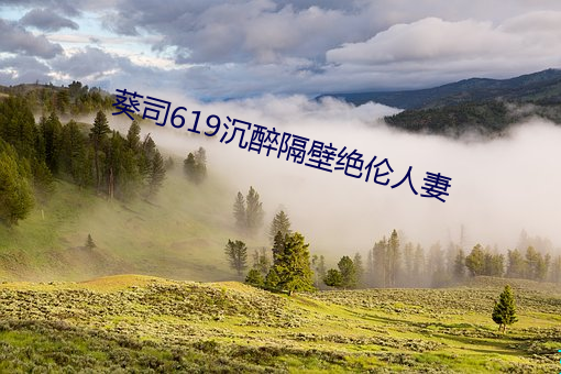 葵司619沉醉隔壁绝(jué)伦人妻