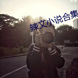 辣(辣)文小(小)说(說)合(合)集