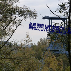 鲲鹏展翅的意思 明辨是非）