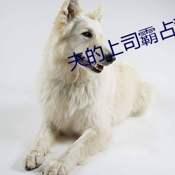 夫的上(上)司霸(霸)占(占)我(我)