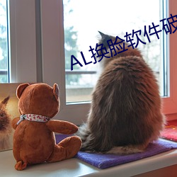 AL換臉軟件破解版