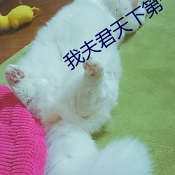BG大游(中国)唯一官方网站