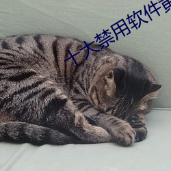 十大禁用軟件黃