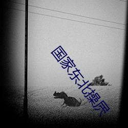 国家东北操屄