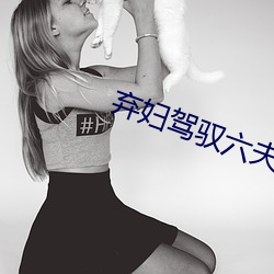 弃妇驾驭(馭)六夫(夫)