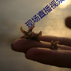 現場直播視頻