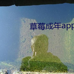 草莓成年app破解版