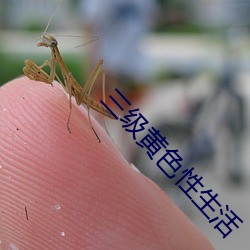 三級黃色性生活