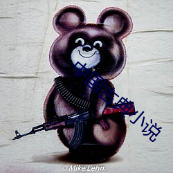 中国古典(典)小说